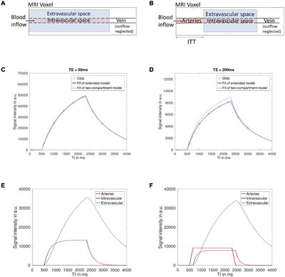 Robust Multi-TE ASL-Based Blood–Brain Barrier Integrity Measurements